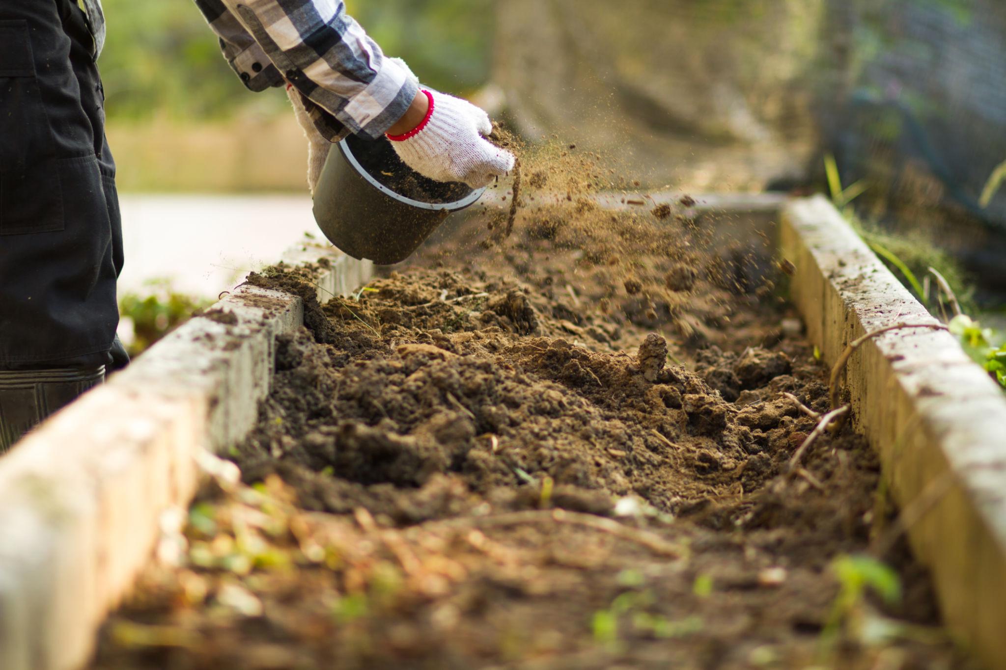 Oranic Compost