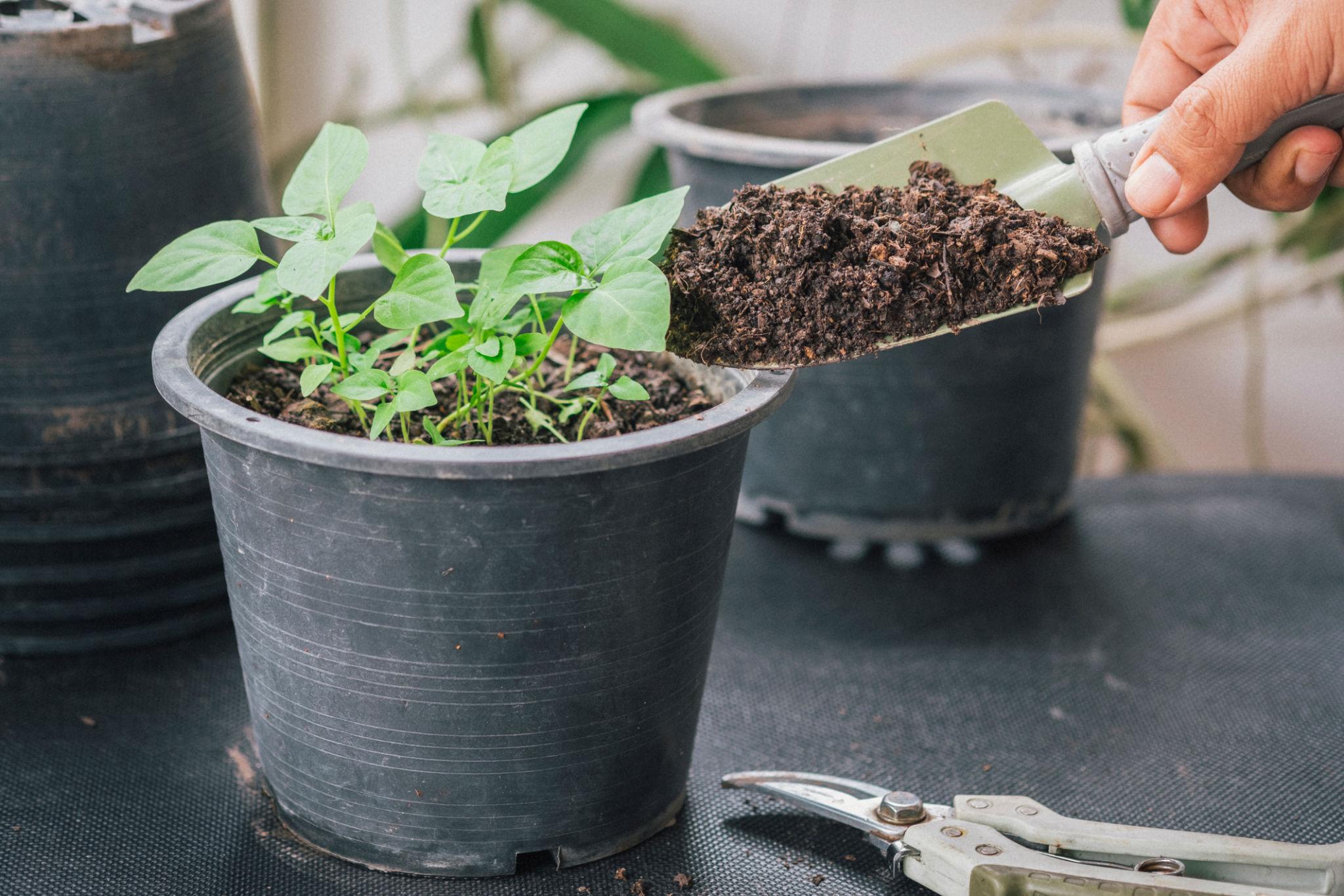 Topsoil / Garden Soil / Landscaping Materials