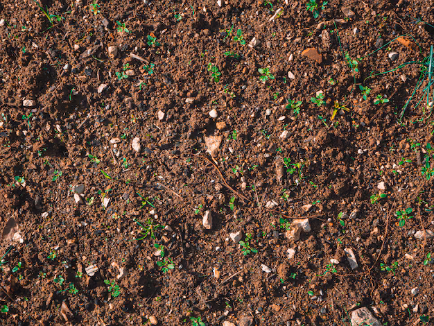 Topsoil Mix Guide