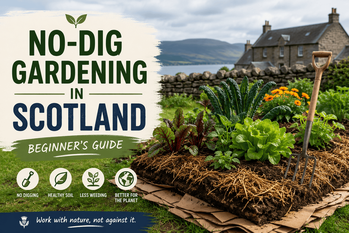 Gardening Guide