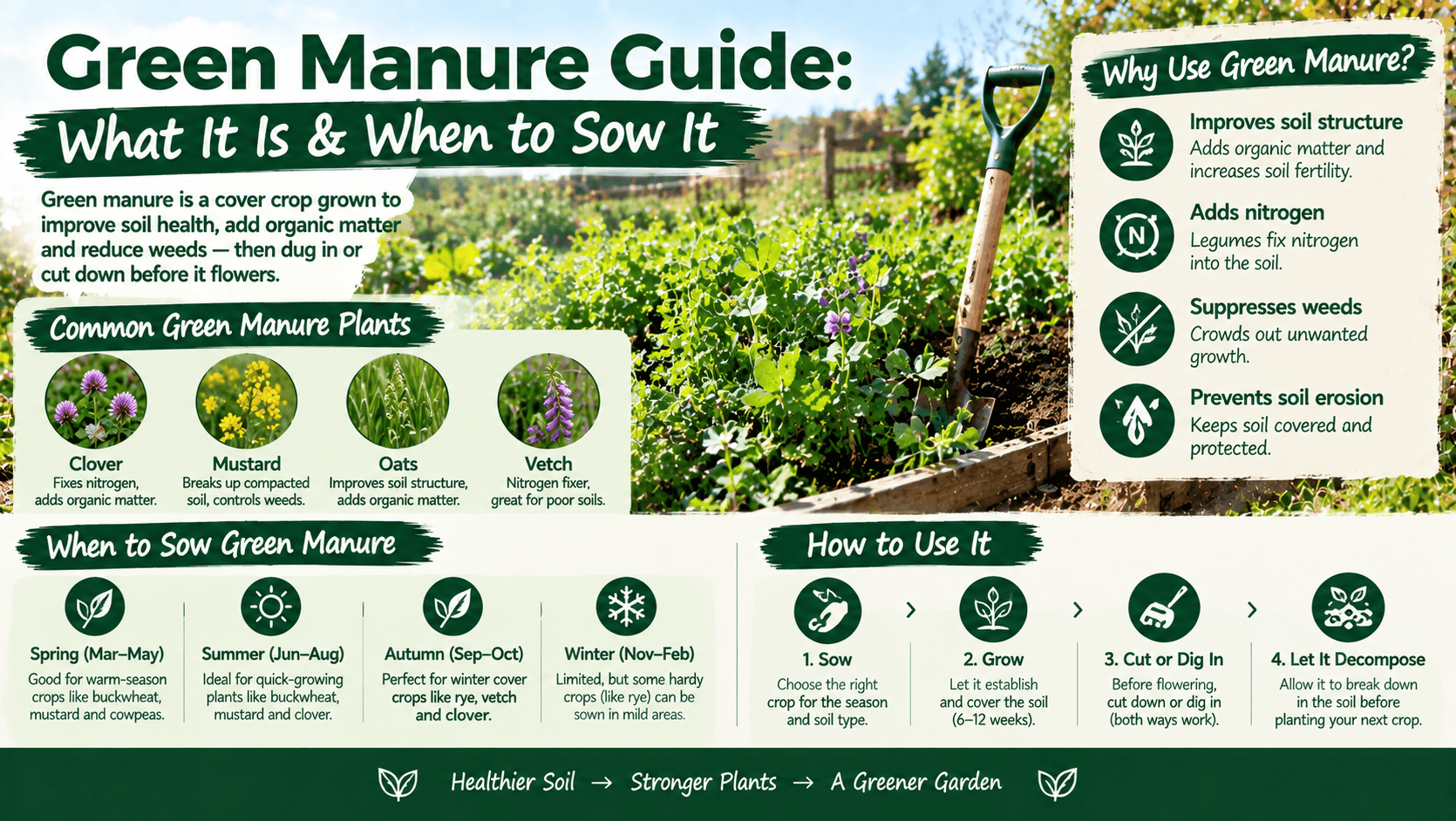 green manure