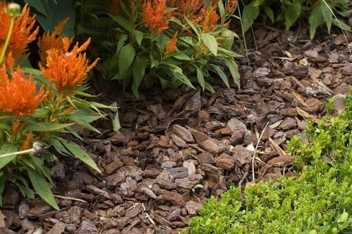 Decorative Bark Mulch