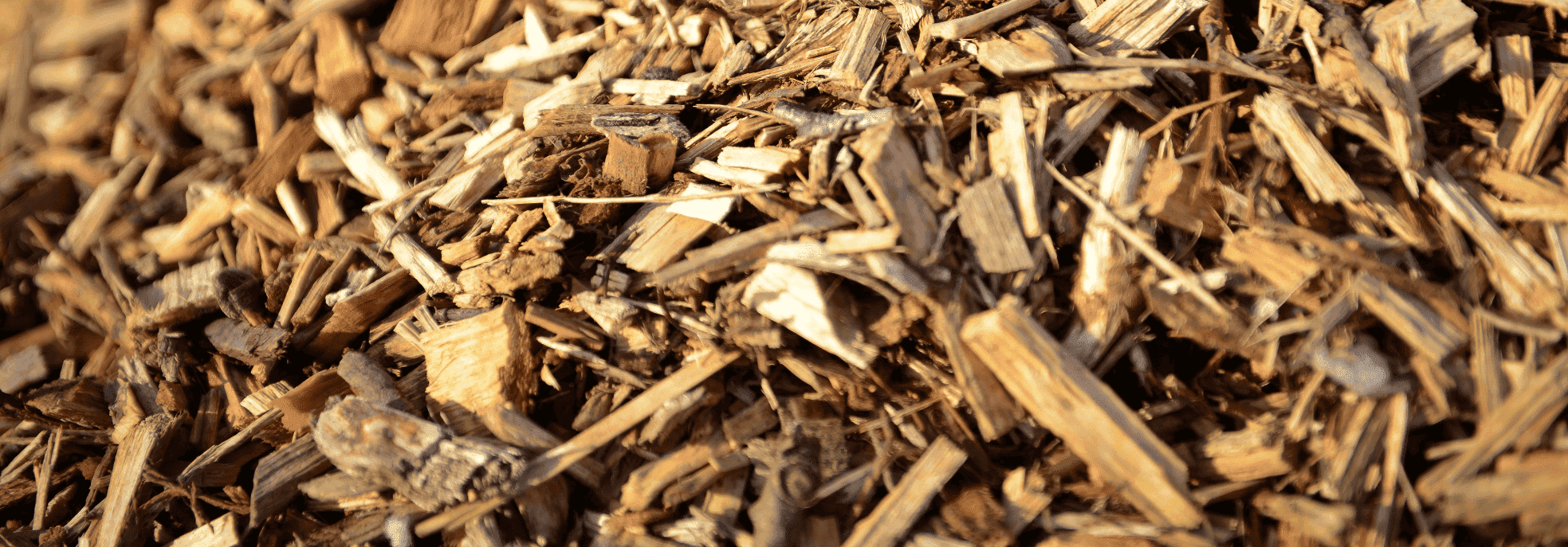 WOODCHIP